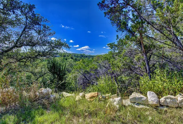 a view of a yard with plants