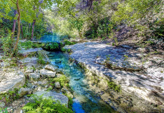 a view of a backyard with table and chairs potted plants and large tree