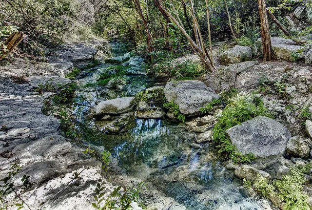 a backyard of a house with lots of green space
