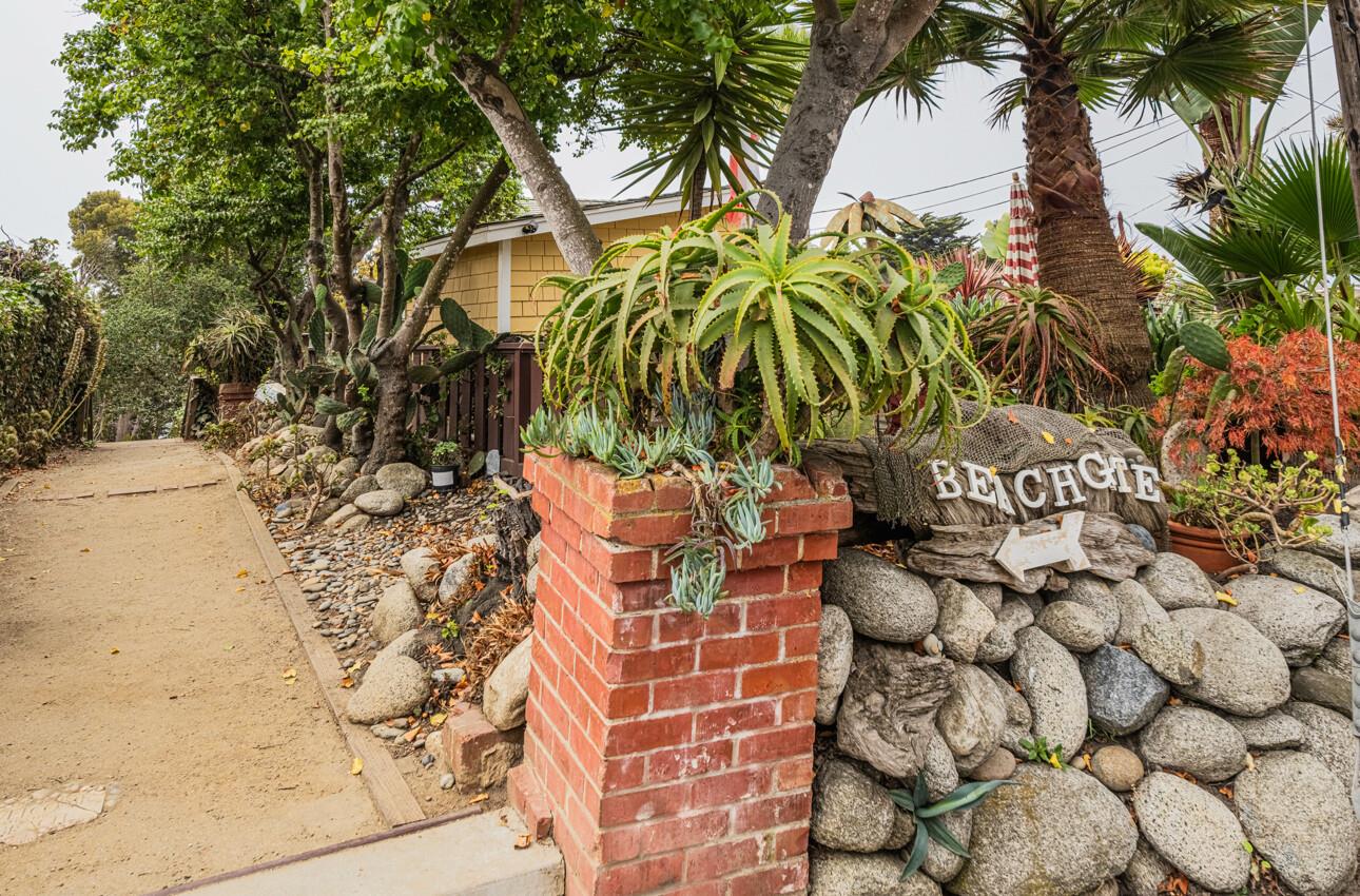 840 Seacliff Drive Aptos, CA 95003 - Photo 50 of 58 a picture of plants