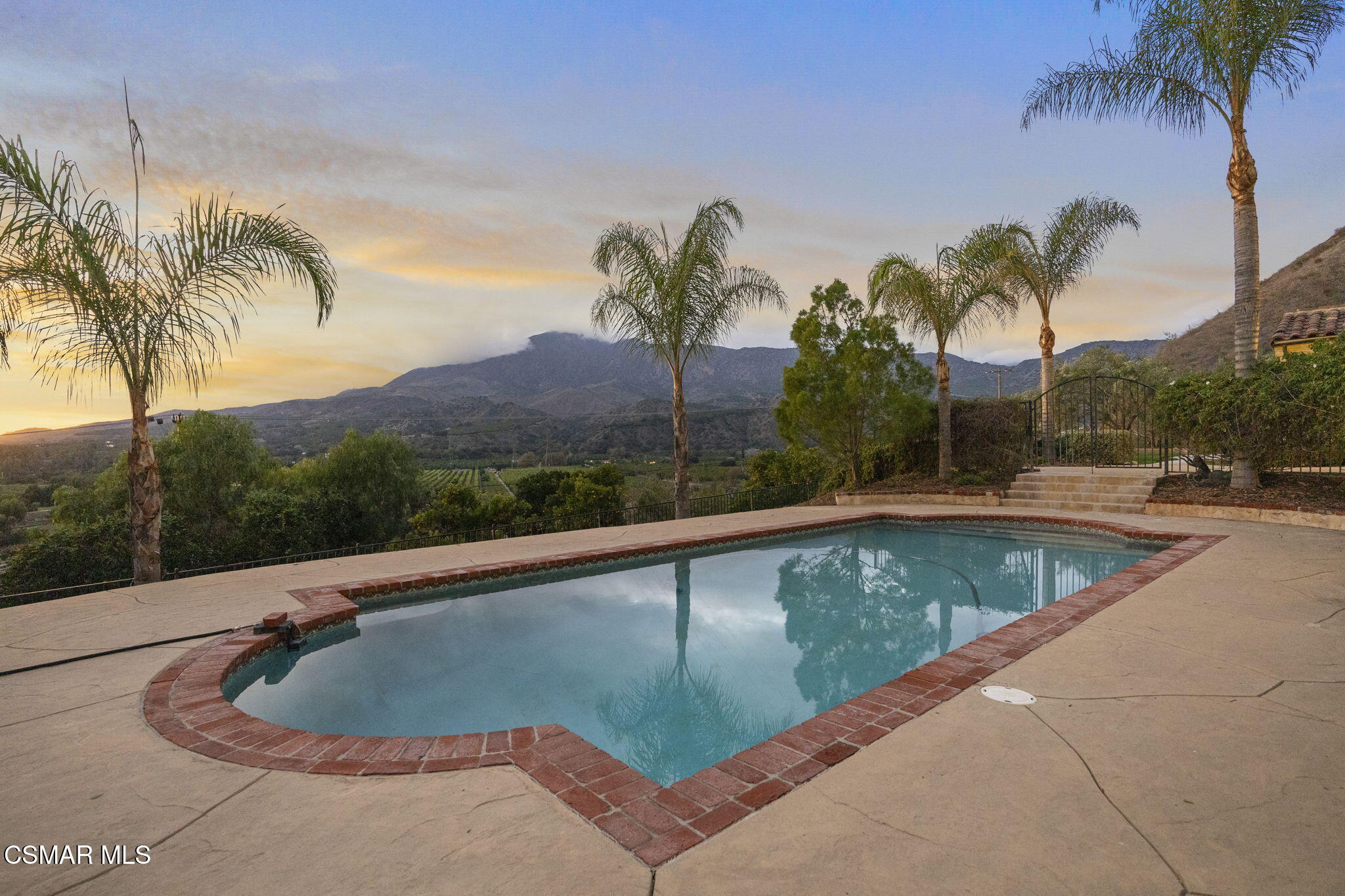1560 Goodenough Road Fillmore, CA 93015 - Photo 57 of 81 a view of swimming pool with a yard and palm trees