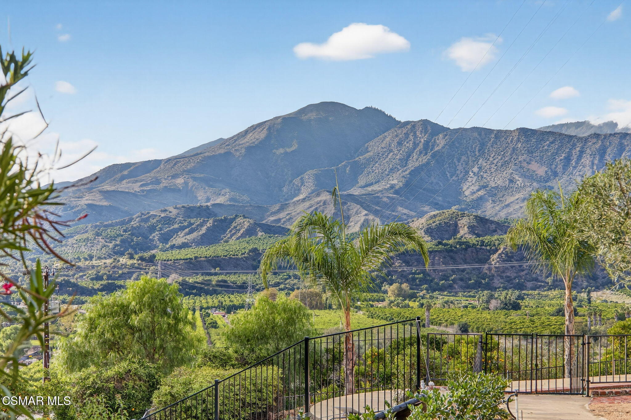 1560 Goodenough Road Fillmore, CA 93015 - Photo 60 of 81 Palm-Framed Mountain Views