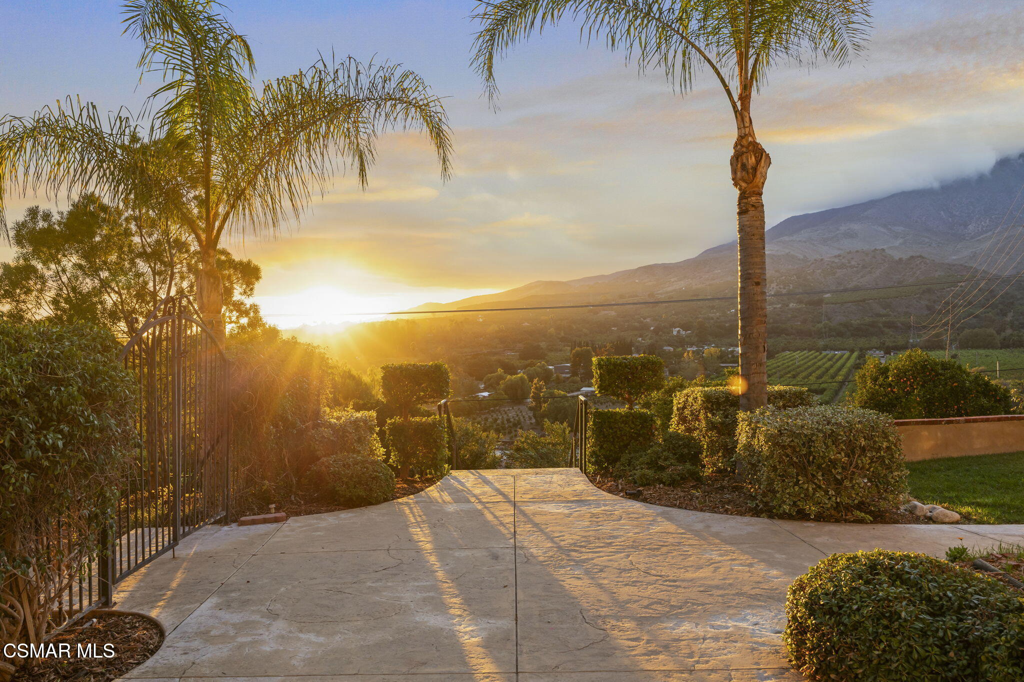 1560 Goodenough Road Fillmore, CA 93015 - Photo 64 of 81 a view of a backyard of a house