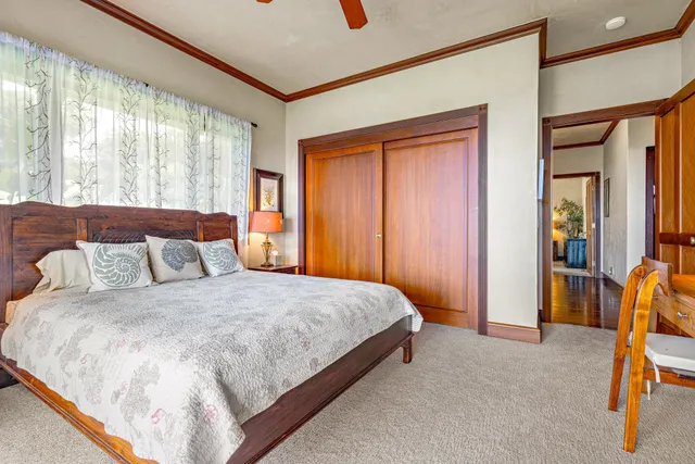 a view of a potted plant in a kitchen next to a window