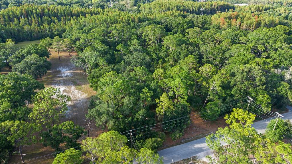 Lake Le Clare Road Lutz, FL 33558 - Photo 3 of 17