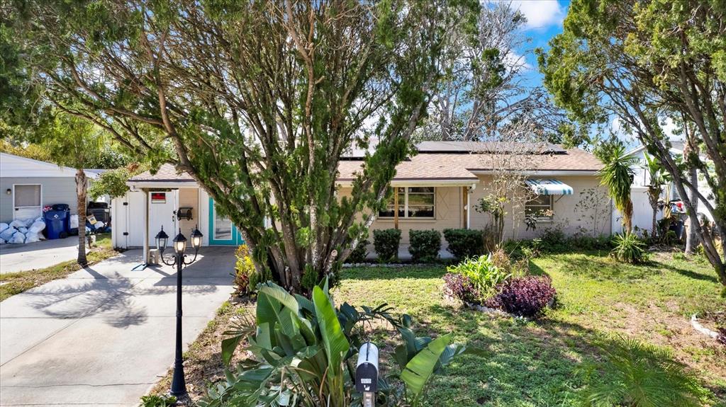 4515 Blanche Street New Port Richey, FL 34652 - Photo 33 of 37 Gallery Image 33