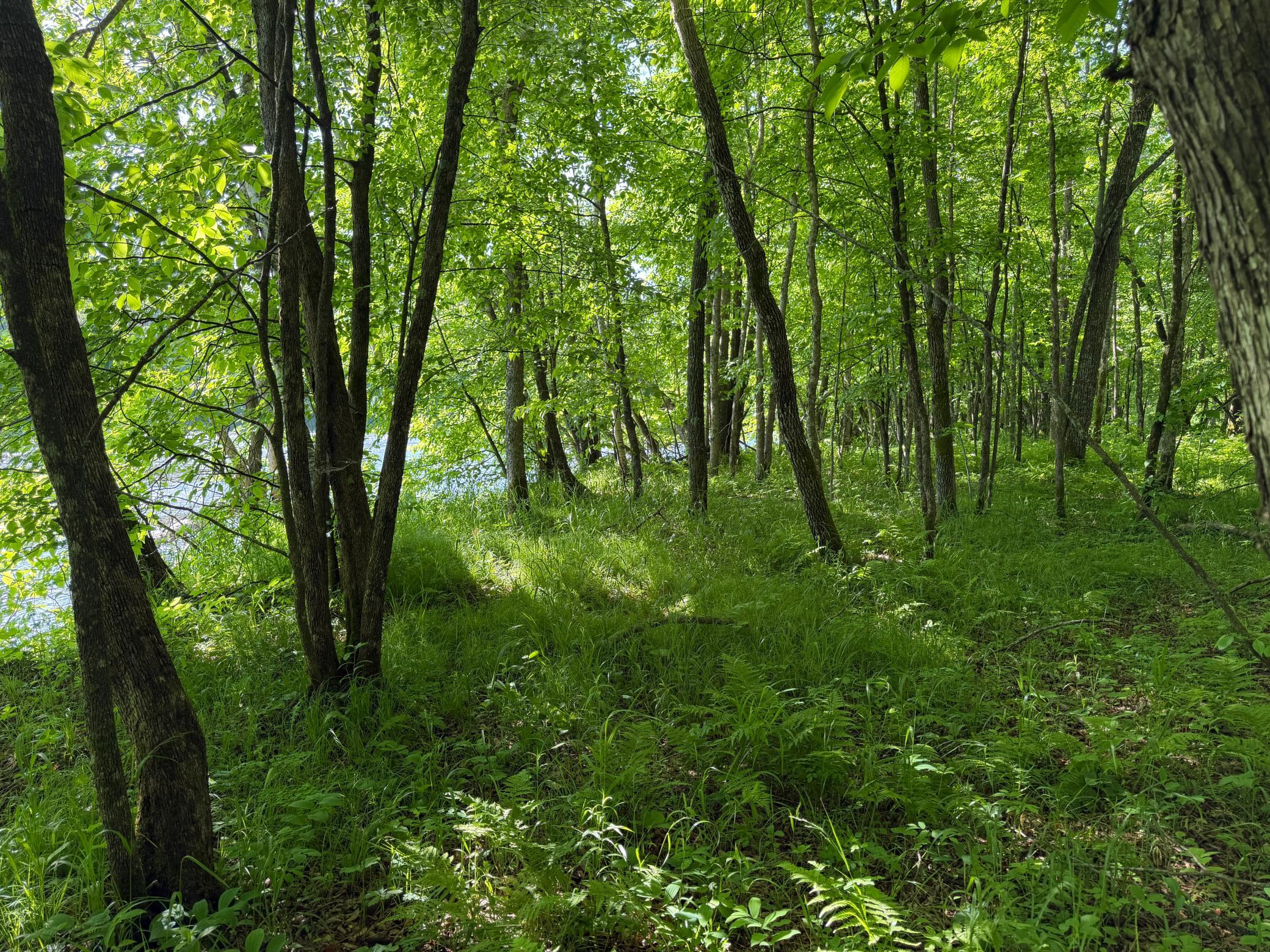 Tbd 270th Street Sebeka, MN 56477 - Photo 56 of 65