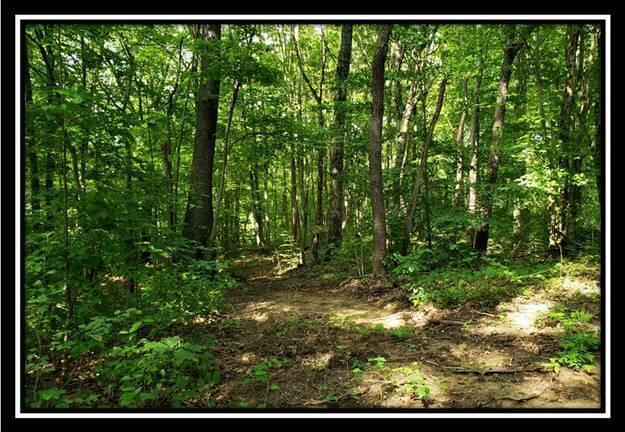 0 Pedigo Ridge Road, Unit TRACT 5) Nelsonville, OH 45764 - Photo 53 of 56 image052