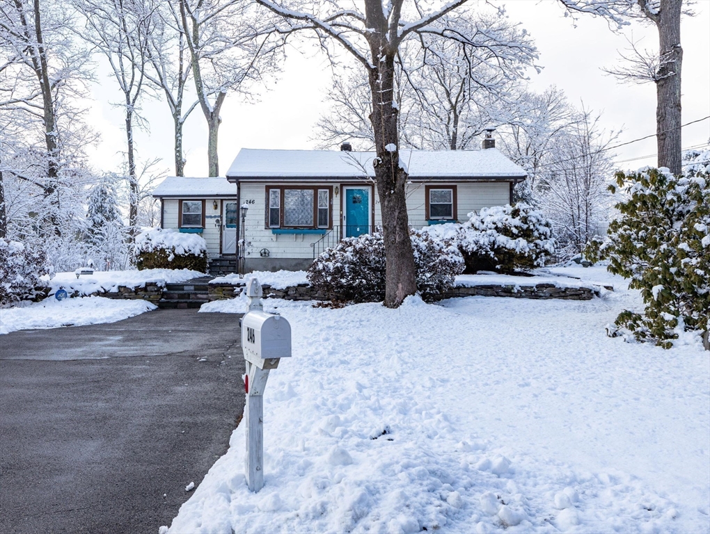 246 Pemberton Street Walpole, MA 02081 - Photo 3 of 40