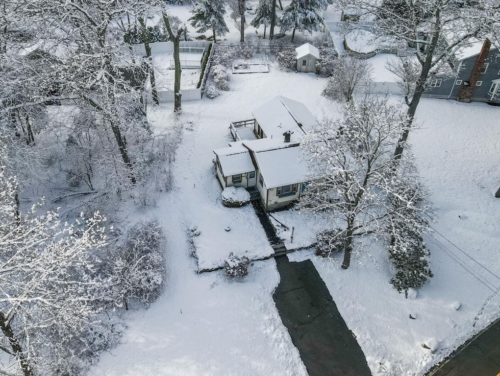 246 Pemberton Street Walpole, MA 02081 - Photo 34 of 40