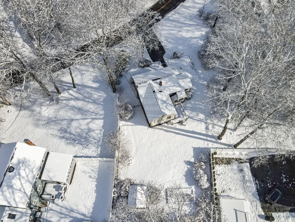 246 Pemberton Street Walpole, MA 02081 - Photo 36 of 40