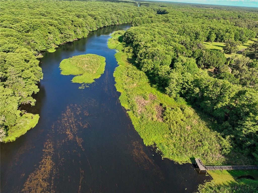 2299 North Bayou Point Inverness, FL 34453 - Photo 49 of 64 a view of a plant in a garden