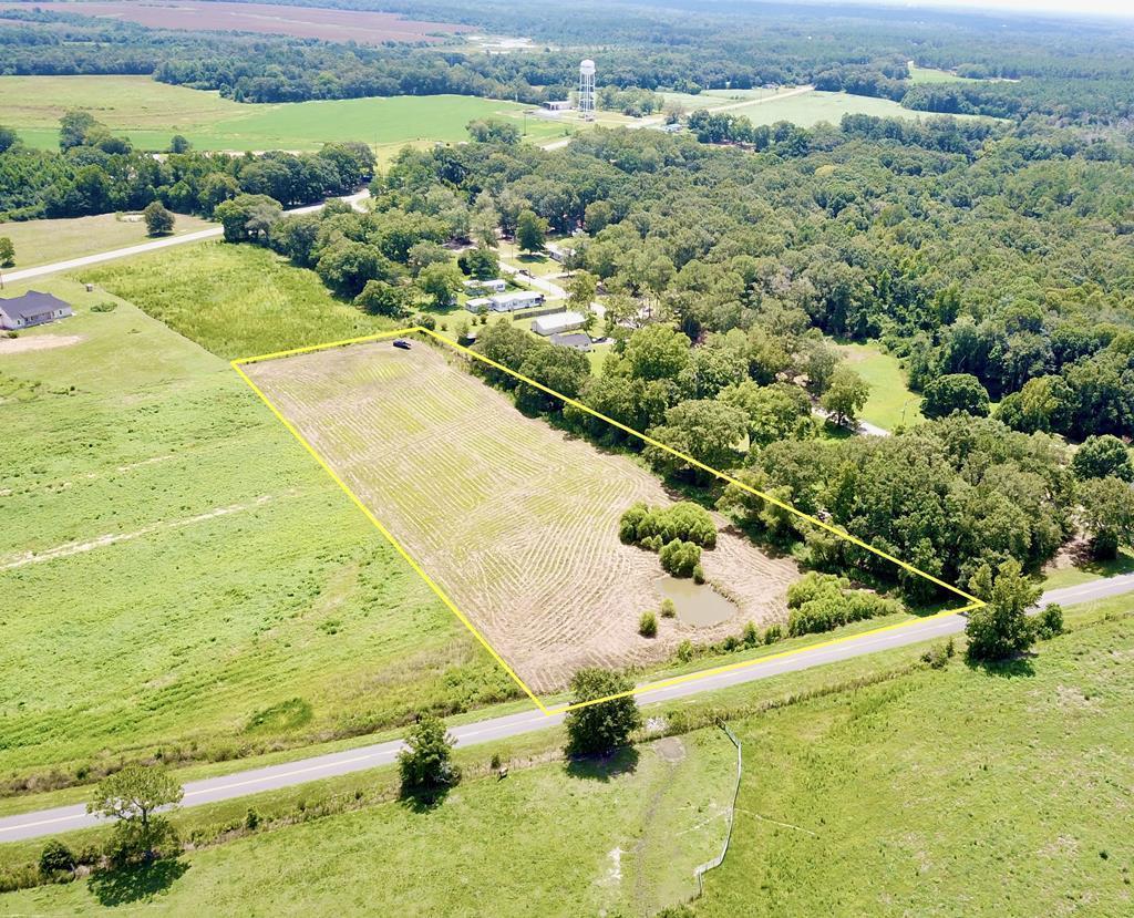 91 County Road 91 Slocomb, AL 36375 - Photo 15 of 18