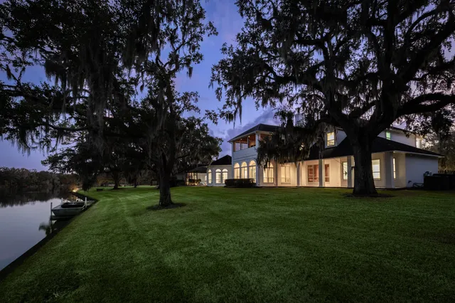 a garden view with trees