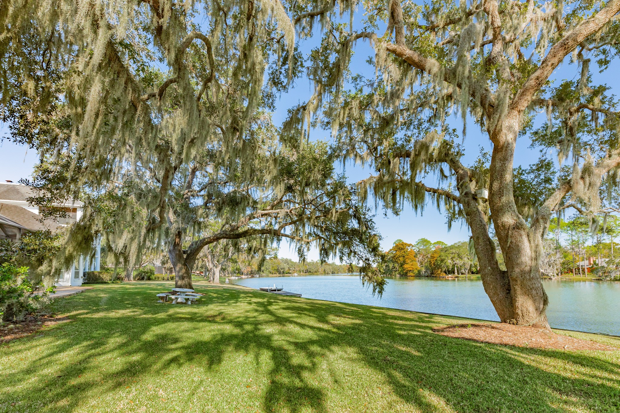 3 Bayou Road Lake Jackson, TX 77566 - Photo 5 of 50 a view of backyard with tree