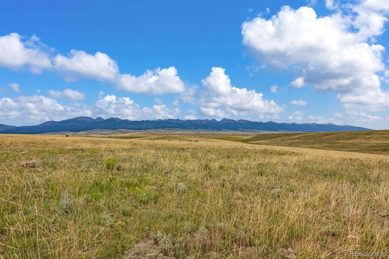 2015 Kit Carson Road Westcliffe, CO 81252 - Photo 11 of 30 a view of yard and ocean