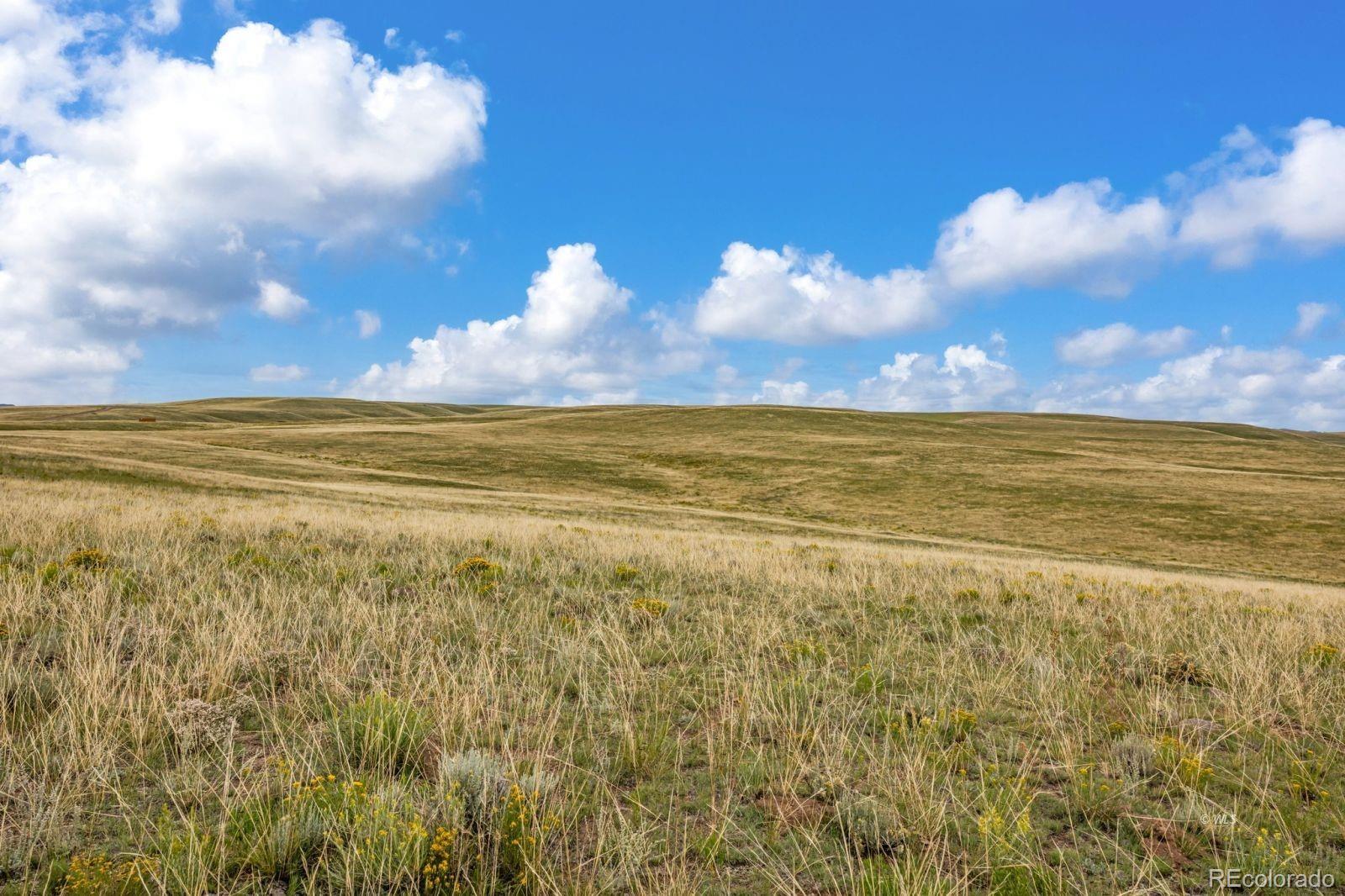 2015 Kit Carson Road Westcliffe, CO 81252 - Photo 12 of 30 a view of an ocean