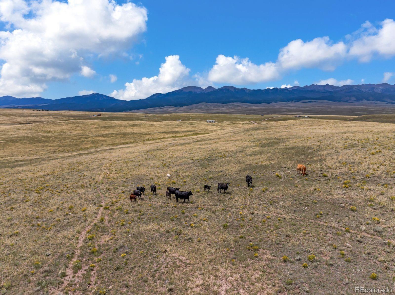 2015 Kit Carson Road Westcliffe, CO 81252 - Photo 24 of 30 a view of an ocean beach
