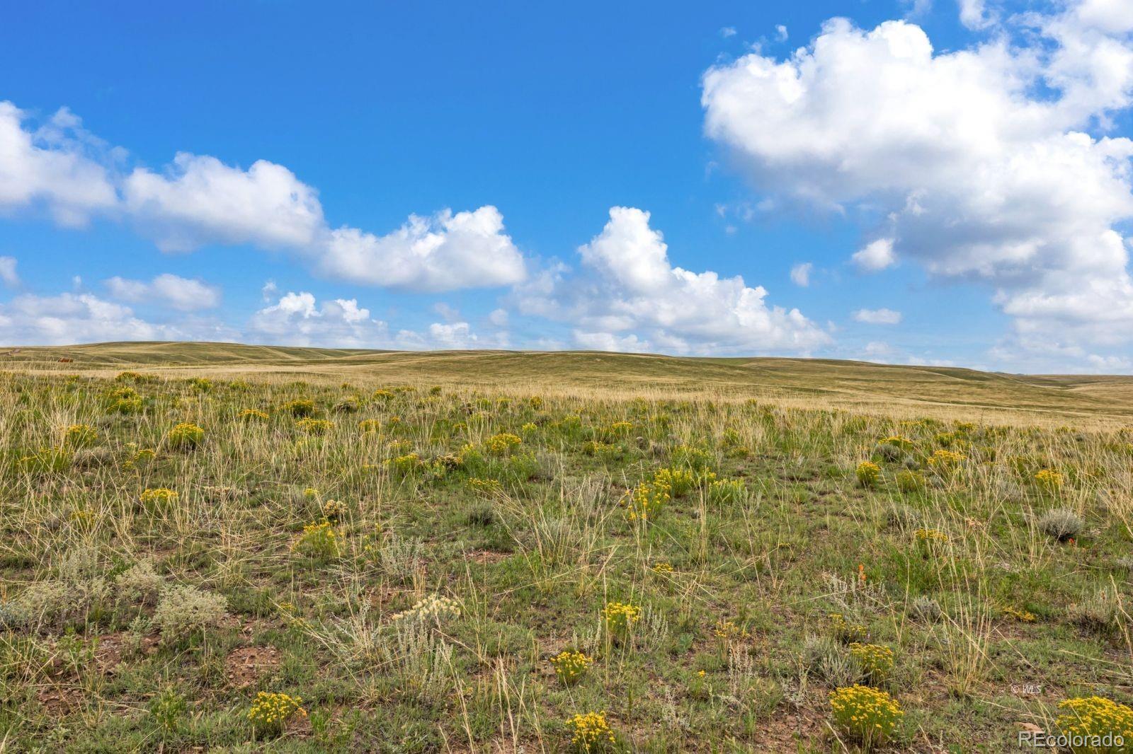 2015 Kit Carson Road Westcliffe, CO 81252 - Photo 29 of 30 a view of an ocean