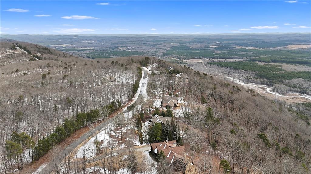 848 Sierra Trace Road Denton, NC 27239 - Photo 38 of 48