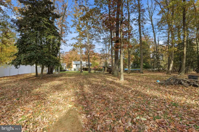a view of outdoor space with trees