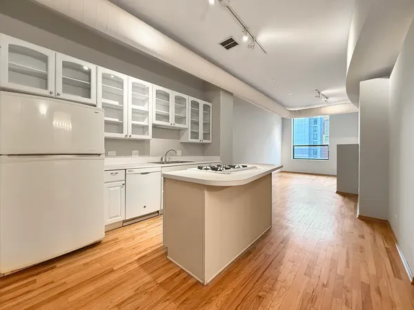 $255,000 | 910 South Michigan Avenue, Unit 1009, Chicago, IL 60605