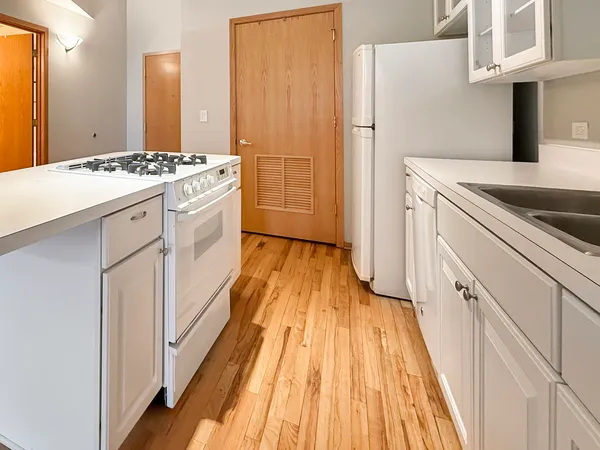 $255,000 | 910 South Michigan Avenue, Unit 1009, Chicago, IL 60605