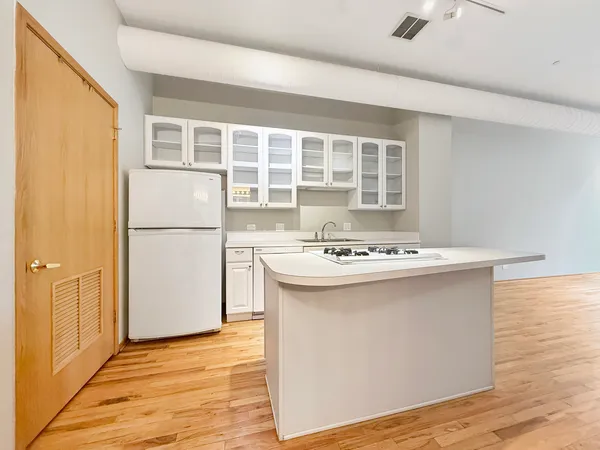 $255,000 | 910 South Michigan Avenue, Unit 1009, Chicago, IL 60605