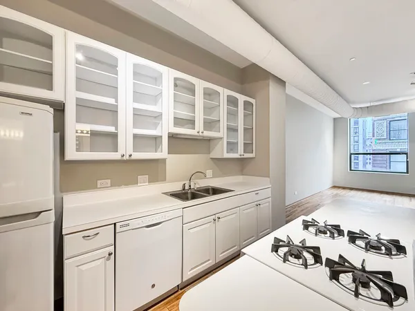 $255,000 | 910 South Michigan Avenue, Unit 1009, Chicago, IL 60605