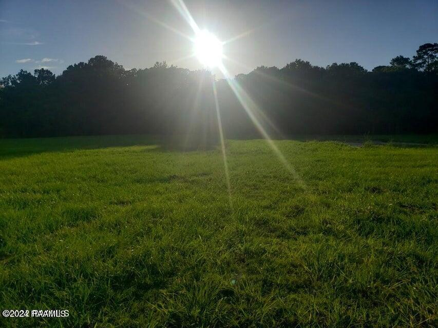190 Athens Lane Crowley, LA 70526 - Photo 5 of 10 3