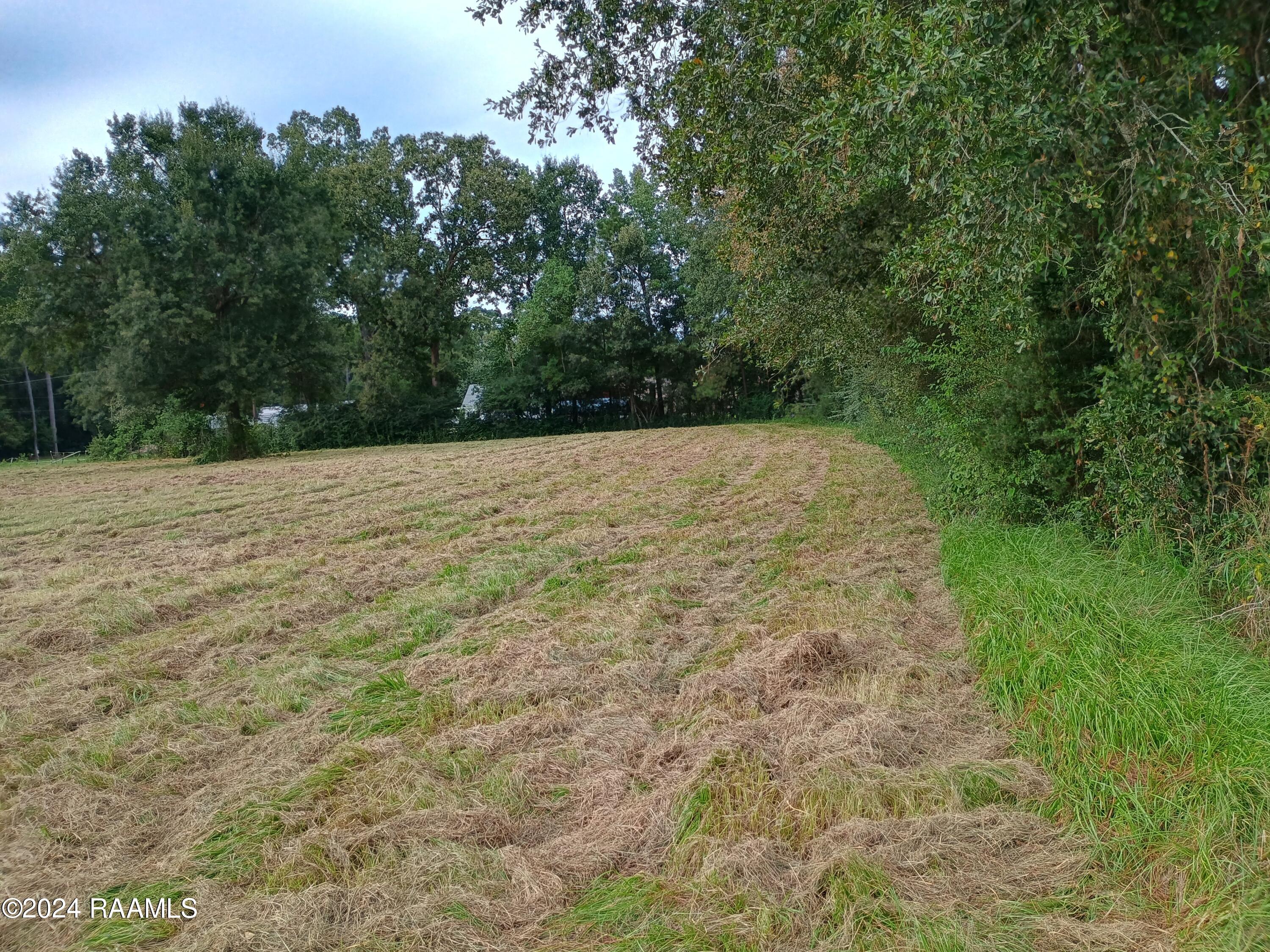 190 Athens Lane Crowley, LA 70526 - Photo 8 of 10 IMG_20240915_170347305_HDR