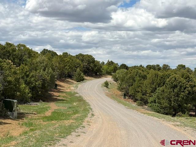 Lot 4 Tower Road Ridgway, CO 81432 - Photo 3 of 14