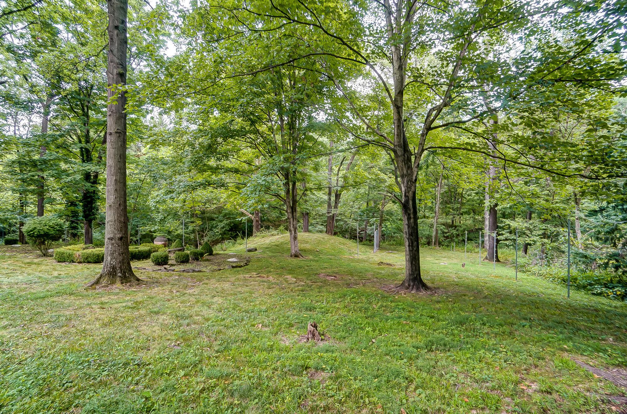 1560 Carriage Road Powell, OH 43065 - Photo 56 of 64 Backyard Alt View