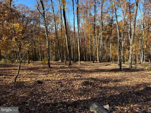 a view of outdoor space with trees