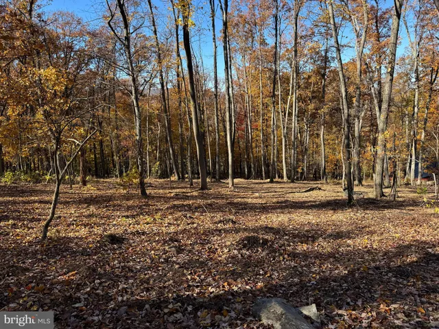 a view of outdoor space with trees
