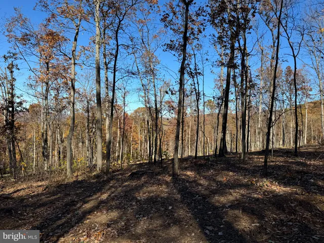 a view of outdoor space with trees