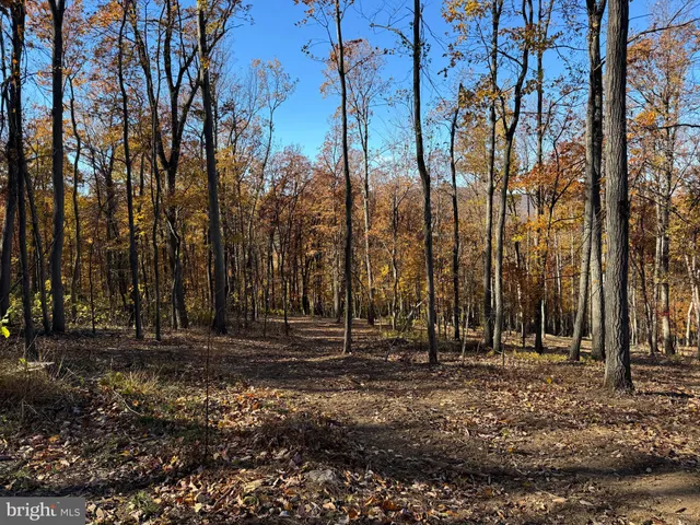 a view of outdoor space with trees
