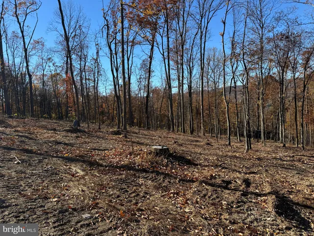 a view of outdoor space with trees