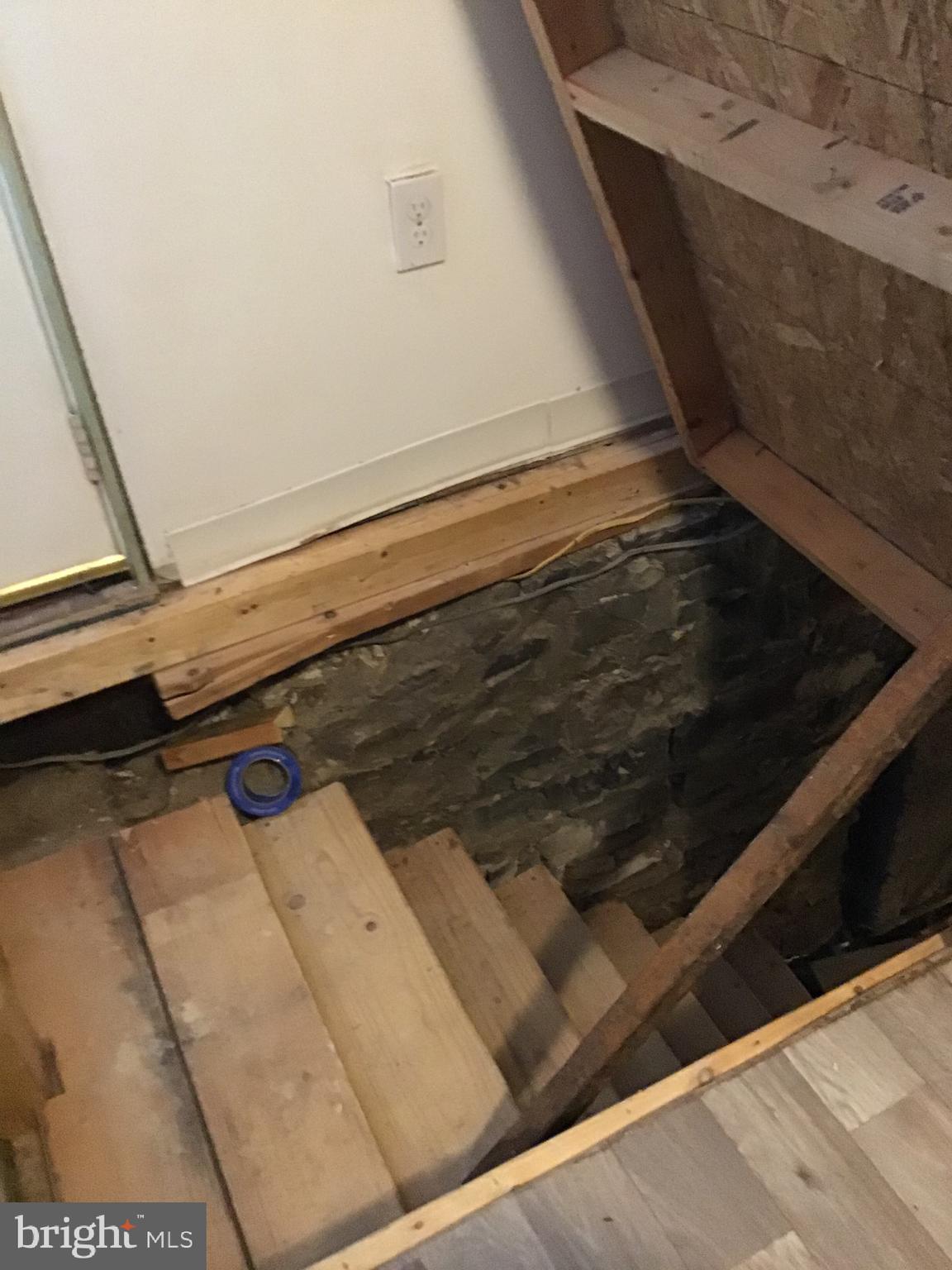 441 Frystown Road Myerstown, PA 17067 - Photo 23 of 36 Access to basement, view 2