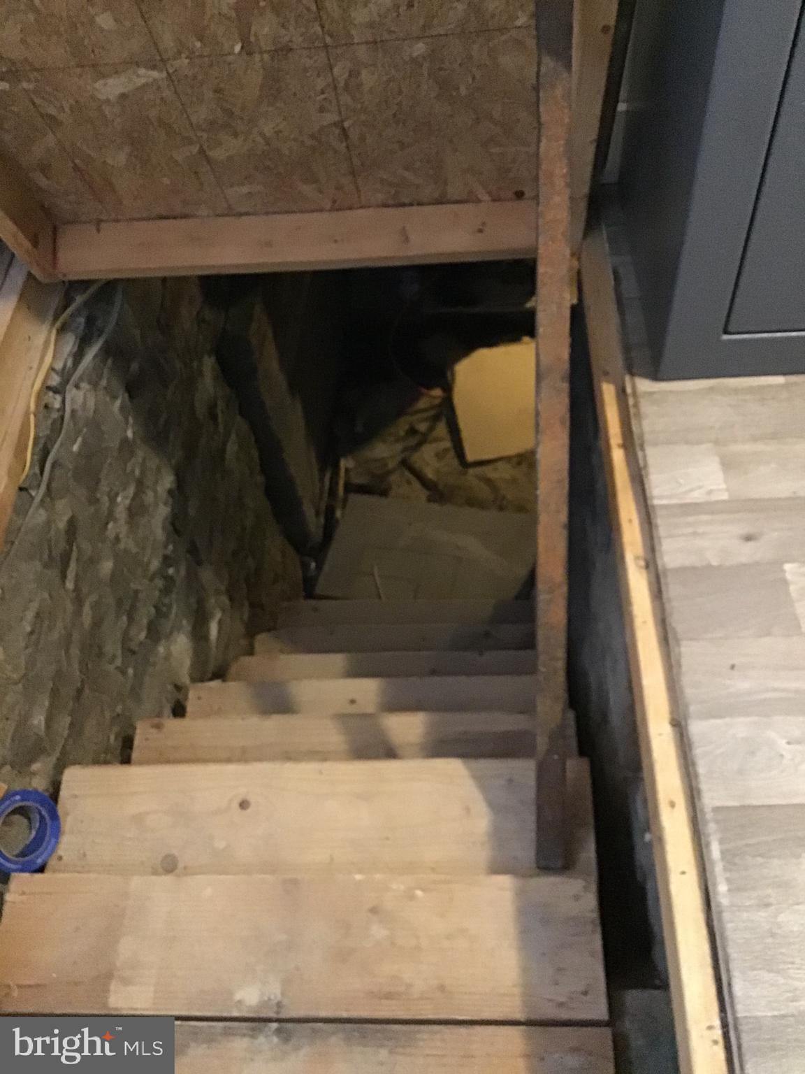 441 Frystown Road Myerstown, PA 17067 - Photo 24 of 36 Access to basement, view 1