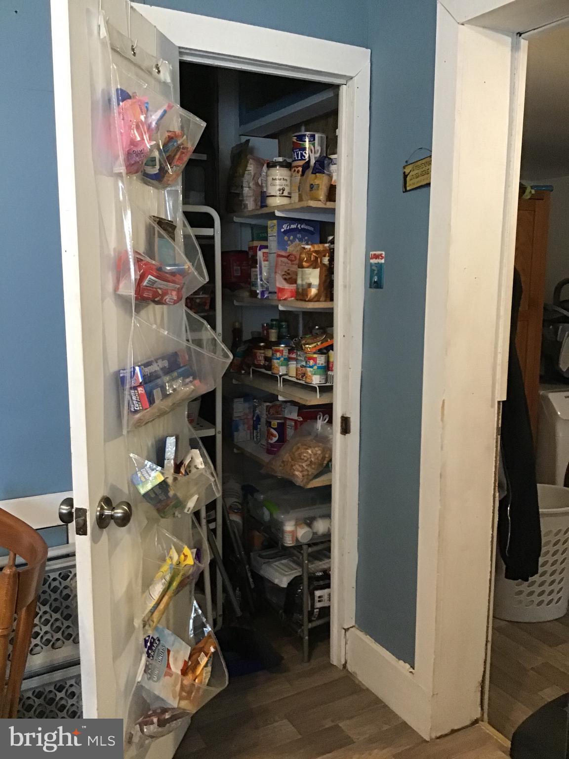 441 Frystown Road Myerstown, PA 17067 - Photo 10 of 36 Pantry.