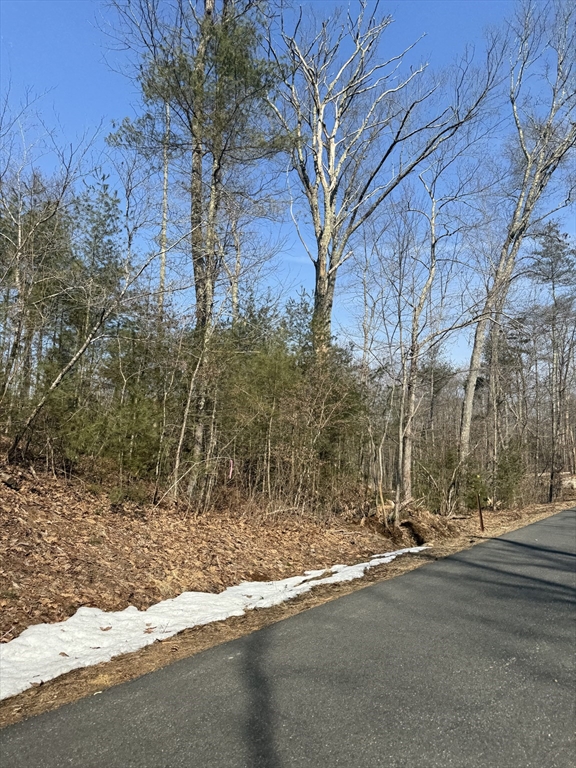 a view of road and trees