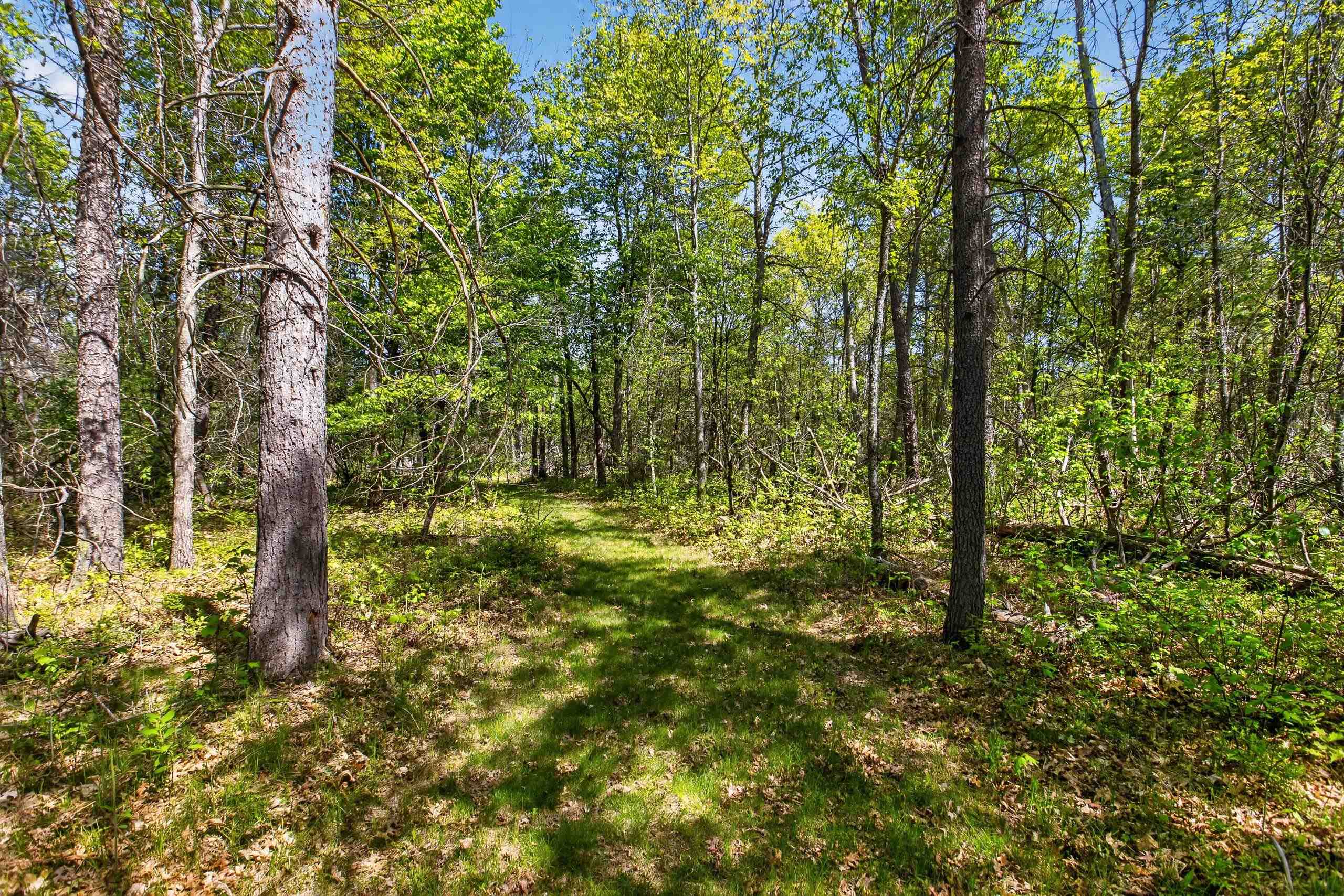 3164 North Dow Road West Branch, MI 48661 - Photo 73 of 83