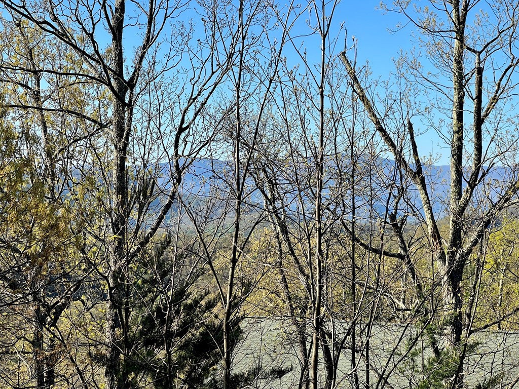 4530 Stackstone Road Sevierville, TN 37862 - Photo 29 of 33 Gallery Image 29