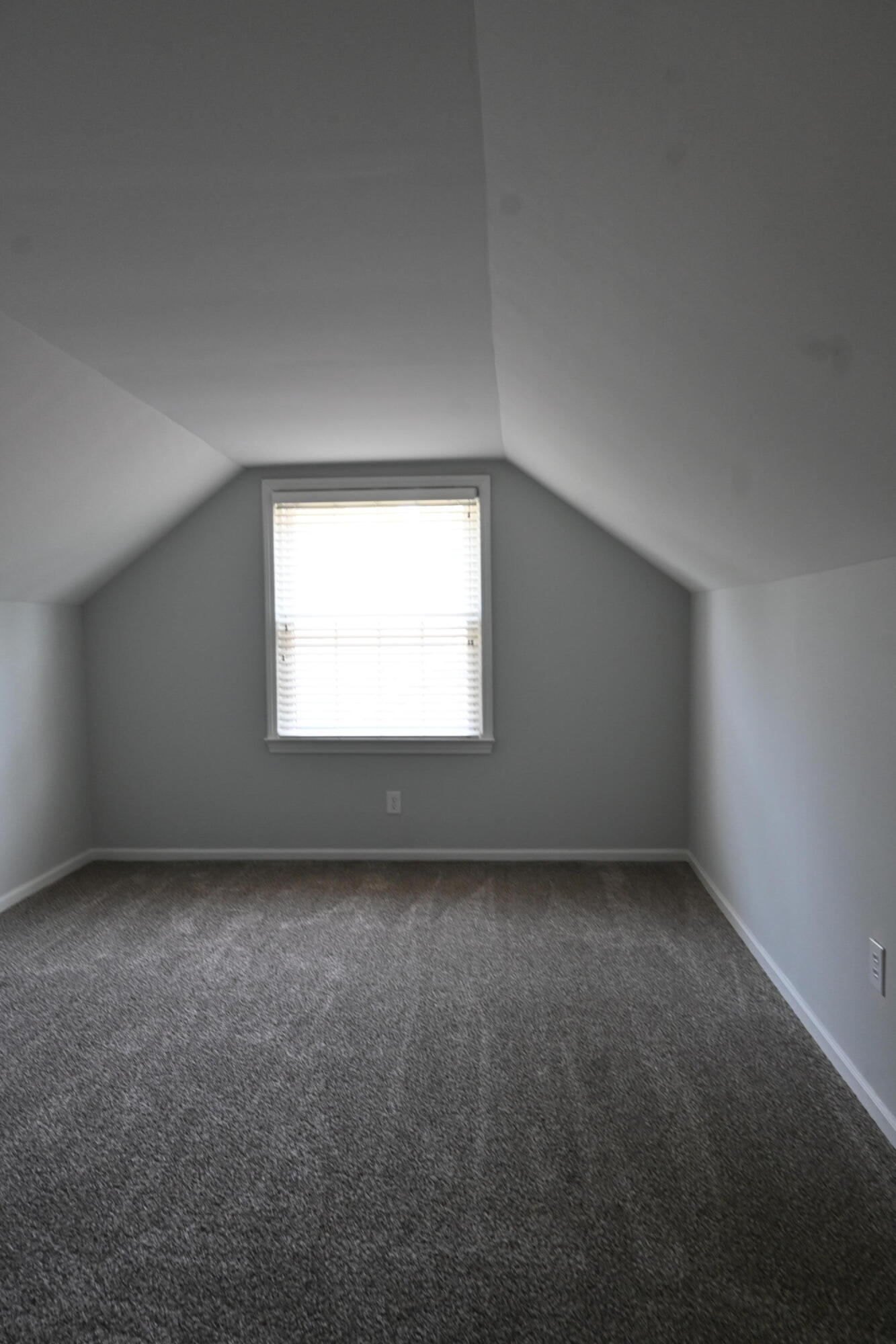 225 Tyne Road Louisville, KY 40207 - Photo 39 of 52 DSC_1611