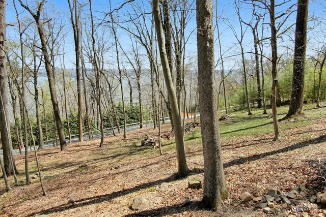 a view of a park with of trees