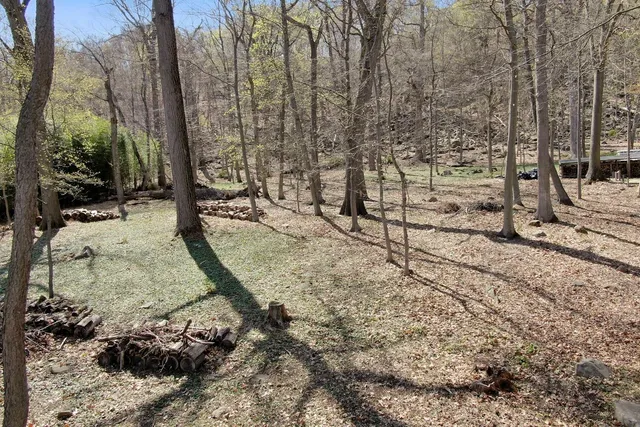 a view of a yard with large trees