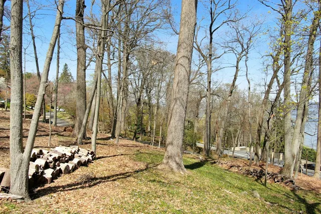 a view of open space with a garden
