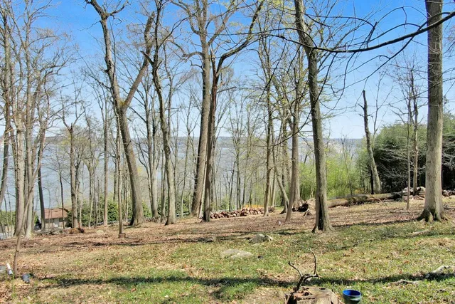 a view of a garden with a tree