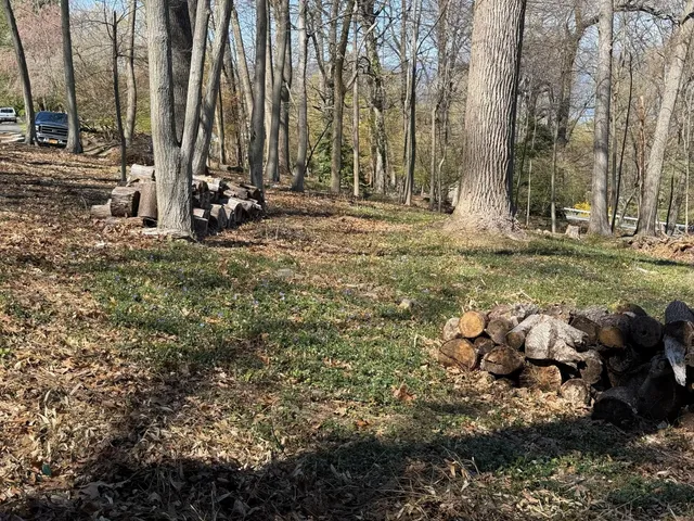 a view of outdoor space and yard